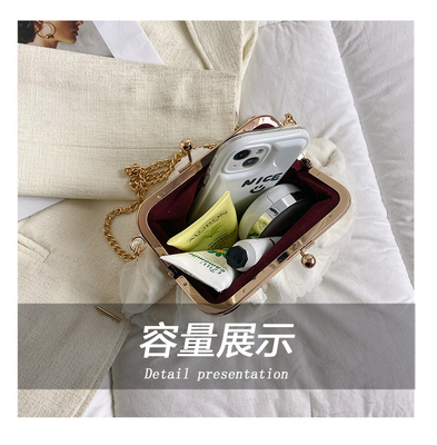 2024 NEW RETRO FAIRY SOLID COLOR SMALL BAG WHITE HAND HAND BAG PEARL 여자들의 직선 직물