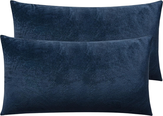 NTBAY 2 팩 Zippered Velvet King 베일러 케이스, 슈퍼 부드럽고 아늑한 고급 fuzzy 플란넬 베일러 케이스 Zipper, 20x36