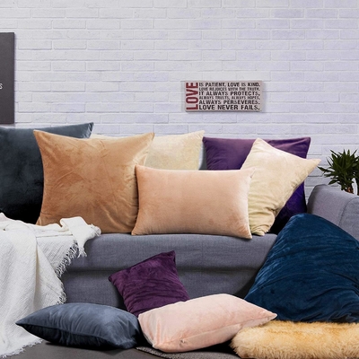 NTBAY 2 팩 Zippered Velvet King 베일러 케이스, 슈퍼 부드럽고 아늑한 고급 fuzzy 플란넬 베일러 케이스 Zipper, 20x36